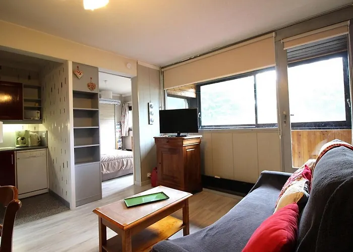 Apartamento T2 Au Dore Avec Balcon Et Wifi - Fr-1-608-58